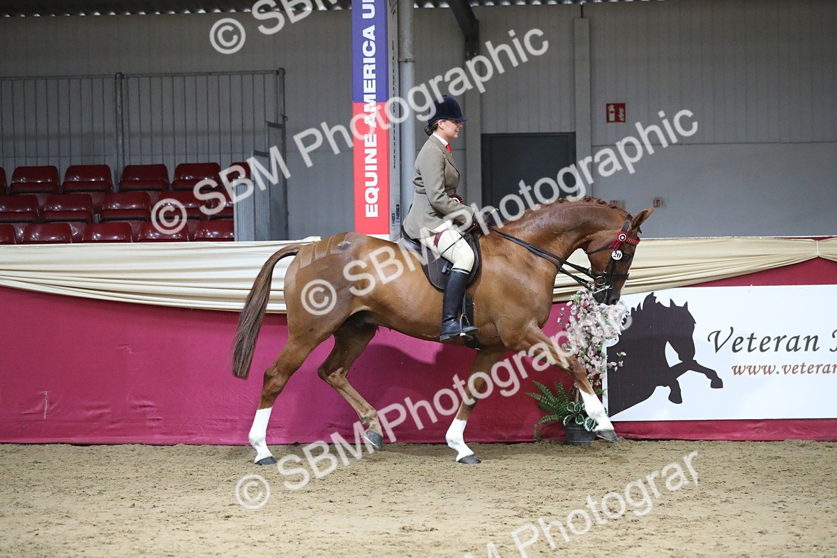 SBM_08492 - Class 11R Regional Ridden Veteran