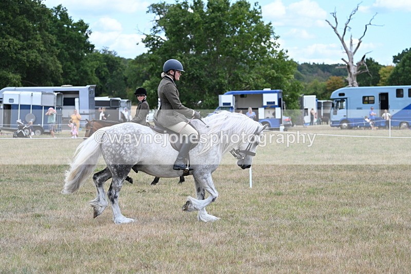 WJ7_4787 - Class 12 Ridden Cob