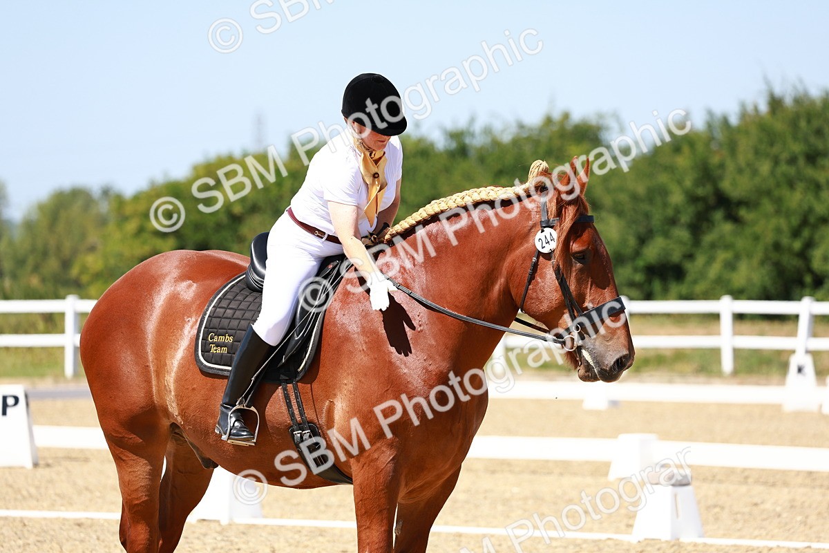 SBM_011820