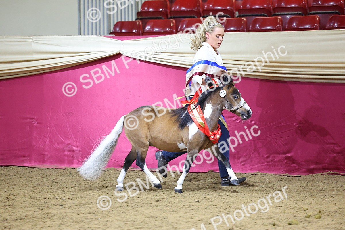SBM_18728 - Class D IH Pony Champ