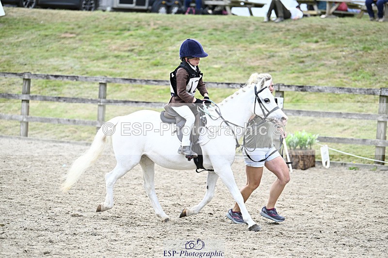 240822X-133216-08212 - 40cm LR R2 13.00 to 15.00