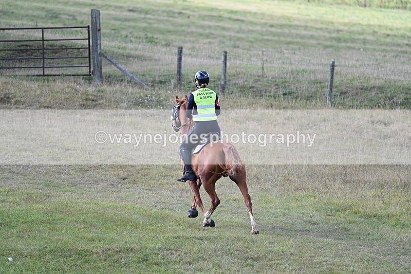 WJ7_3429 - Time 10:15 to 10:26