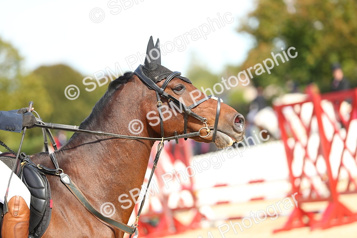 SBM_21142 - J51 - Open 70cm