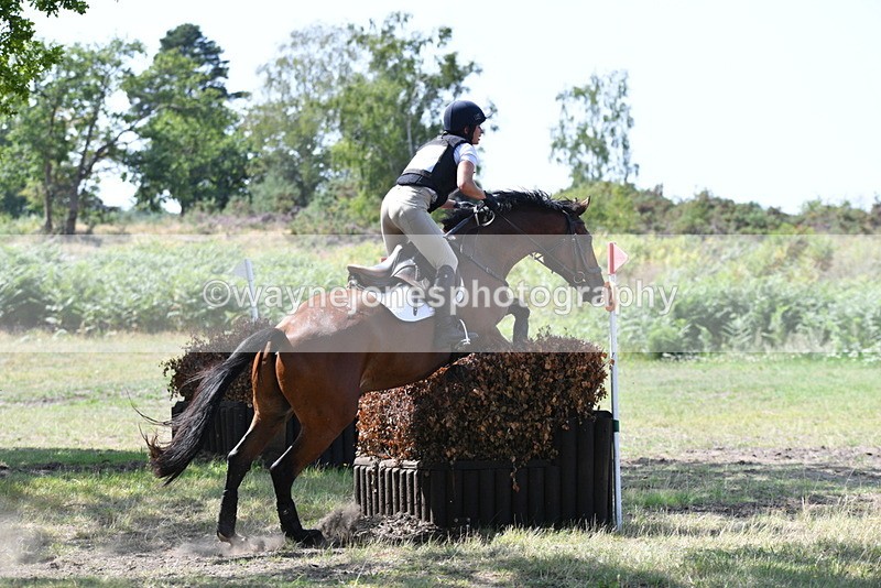 WJ5_2942 - XC Time 12:35 to 12:59