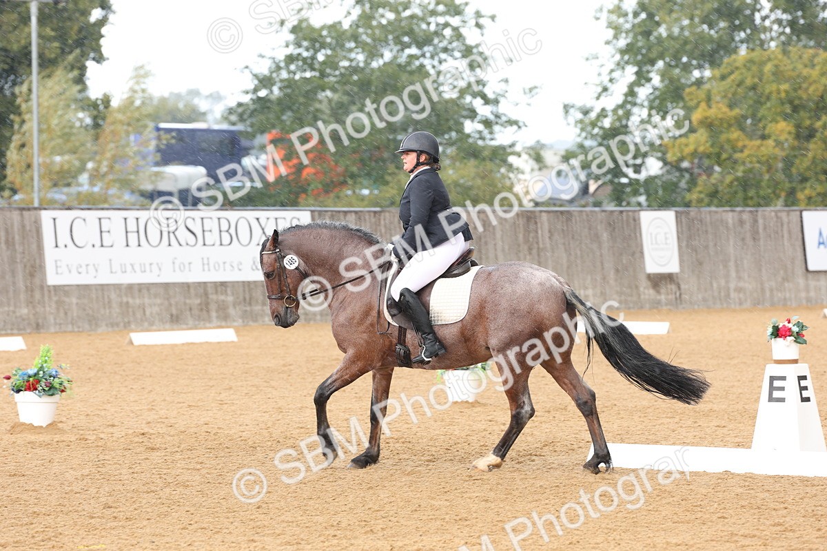 SBM_19569 - D10 - Small Tour Championship Prelim 2