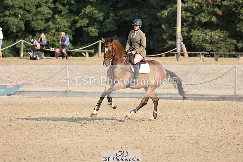 250816A-085300-00221 - Cls 2 Club 80cm