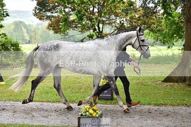 240522-161052-00762 - 157-AIR_MAIL-Daisy_Amin