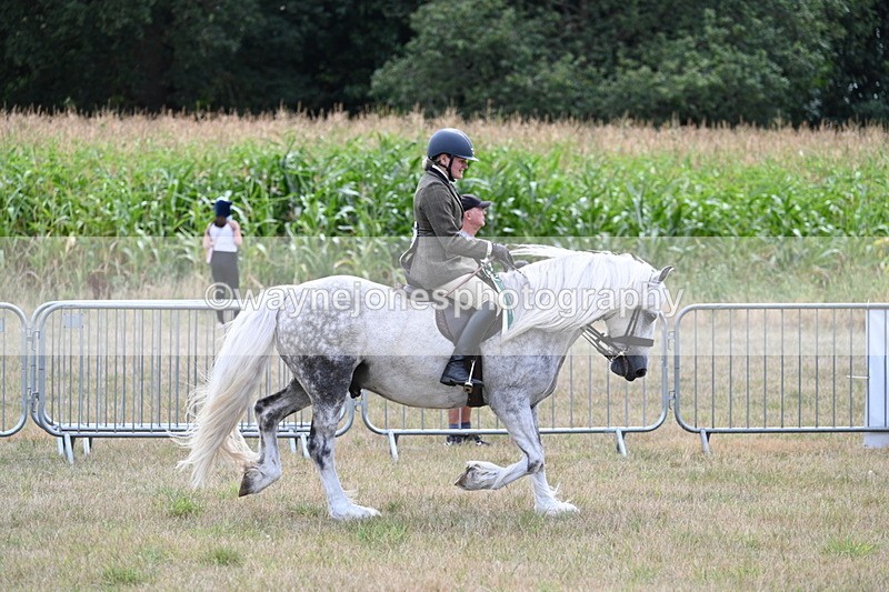 WJ7_5586 - Class 12 Ridden Cob