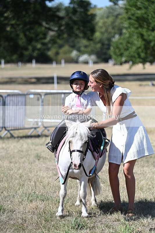 WJ7_1376 - Class 41 Prettiest Mare