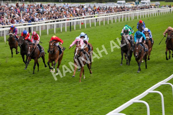 250823-Race 4-Live In The Dream-5869 - Race 4 3.35pm Coolmore Wootton Bassett Nunthorpe Stakes