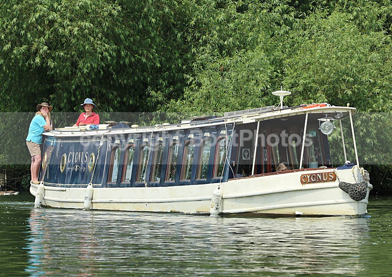 130705 CYGNUS WT7A9324 - HENLEY ROYAL REGATTA - Friday 5th July 2013