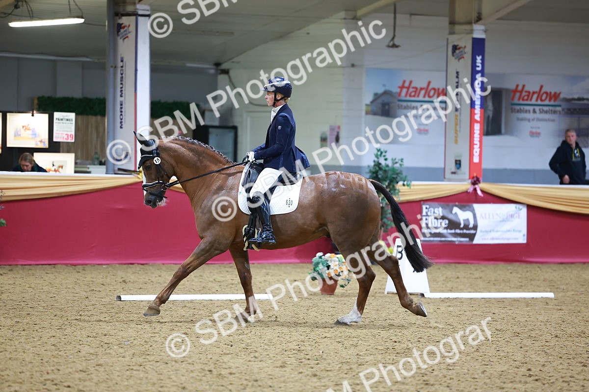 SBM_06684 - Class 61 - Dressage to Music