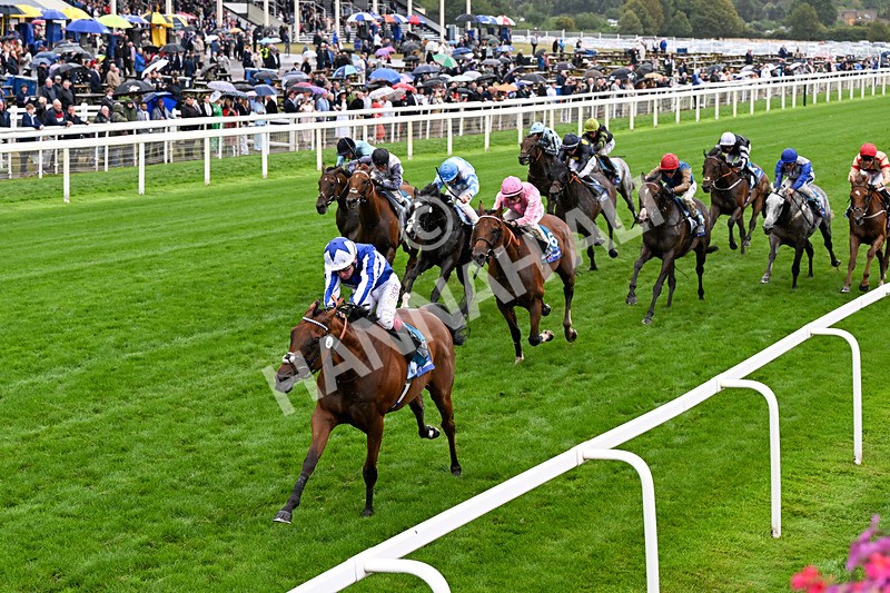 200826-Race 3-The Lost King-0442 - Race 3 15.00pm Sir Kevin Sinfield 7 In 7 Grand Finale Handicap