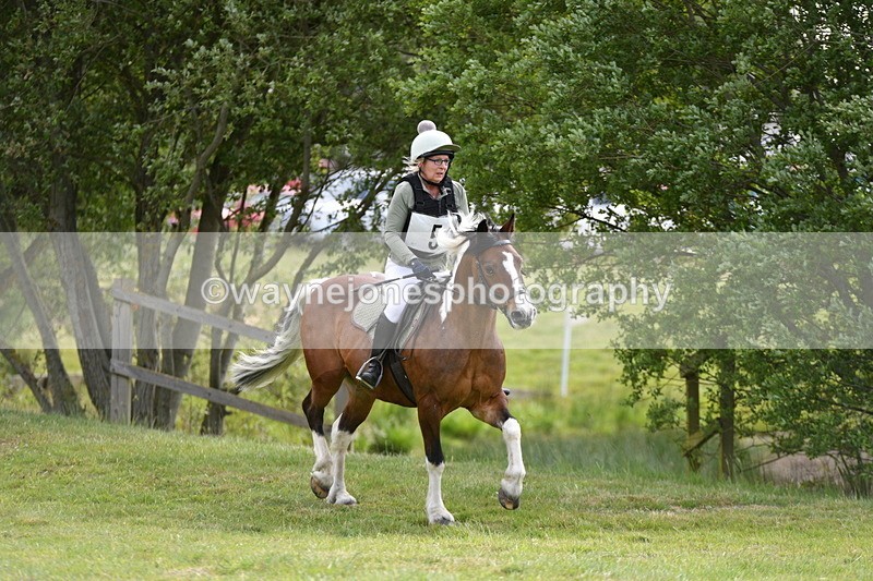 WJ5_2362 - Class 2 40cm