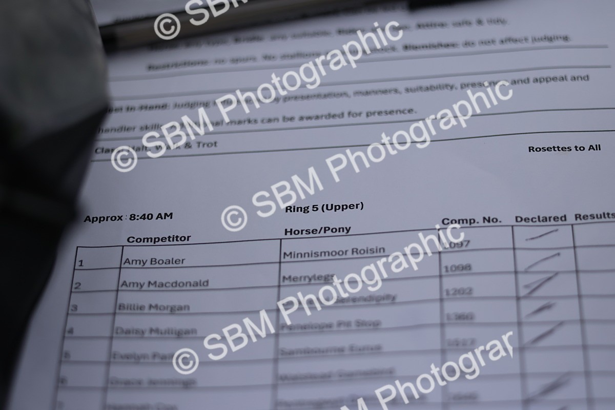 SBM_35306 - S10 - Best In Hand Horse & Pony