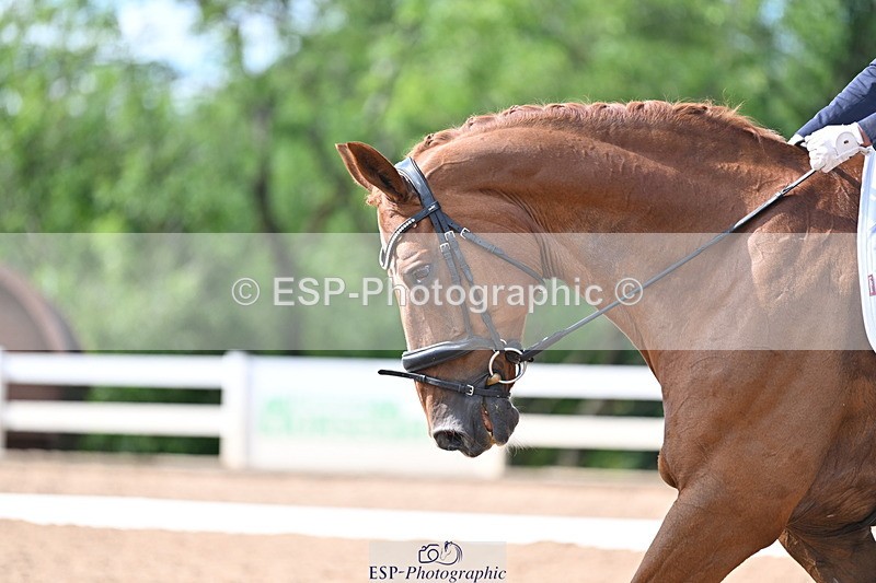 240622A-165040-12968 - Cls 40 BD FEI Intermediate I