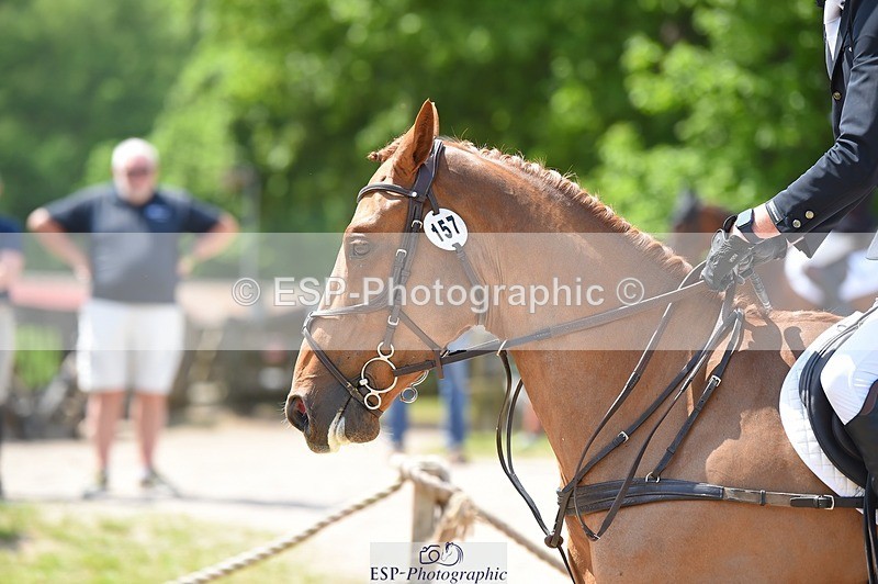 230528-140148-18453 - 157-GODSEND_DU_GIVRE-Henry_Dove-SUNTrotUp+SJ