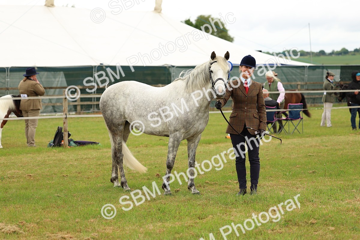 SBM_04248 - Class 64-67 - Shetland Pony In Hand