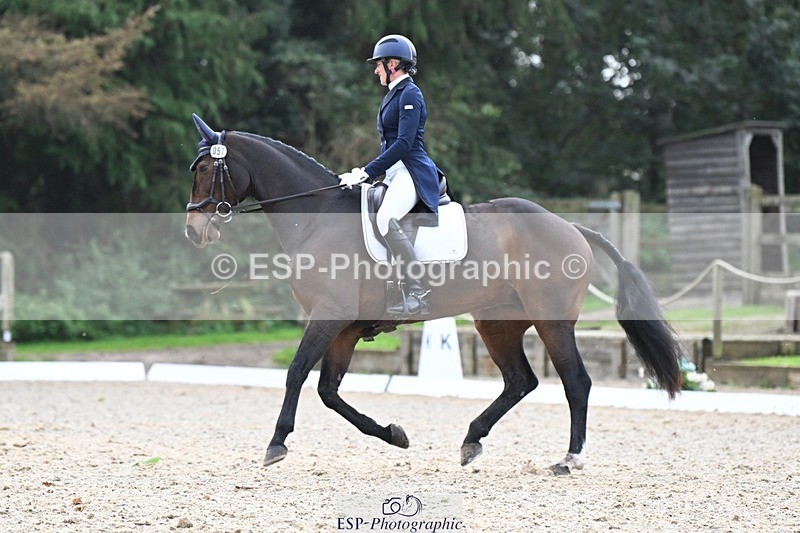 231019-145333-04305 - 057-OVERTON.TILANA'S.GOLD-Claire.Deuten-DR