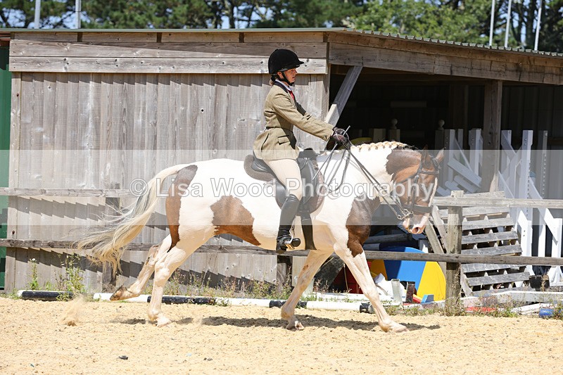 1X9A8831 - Class 19: Riding Club Horse