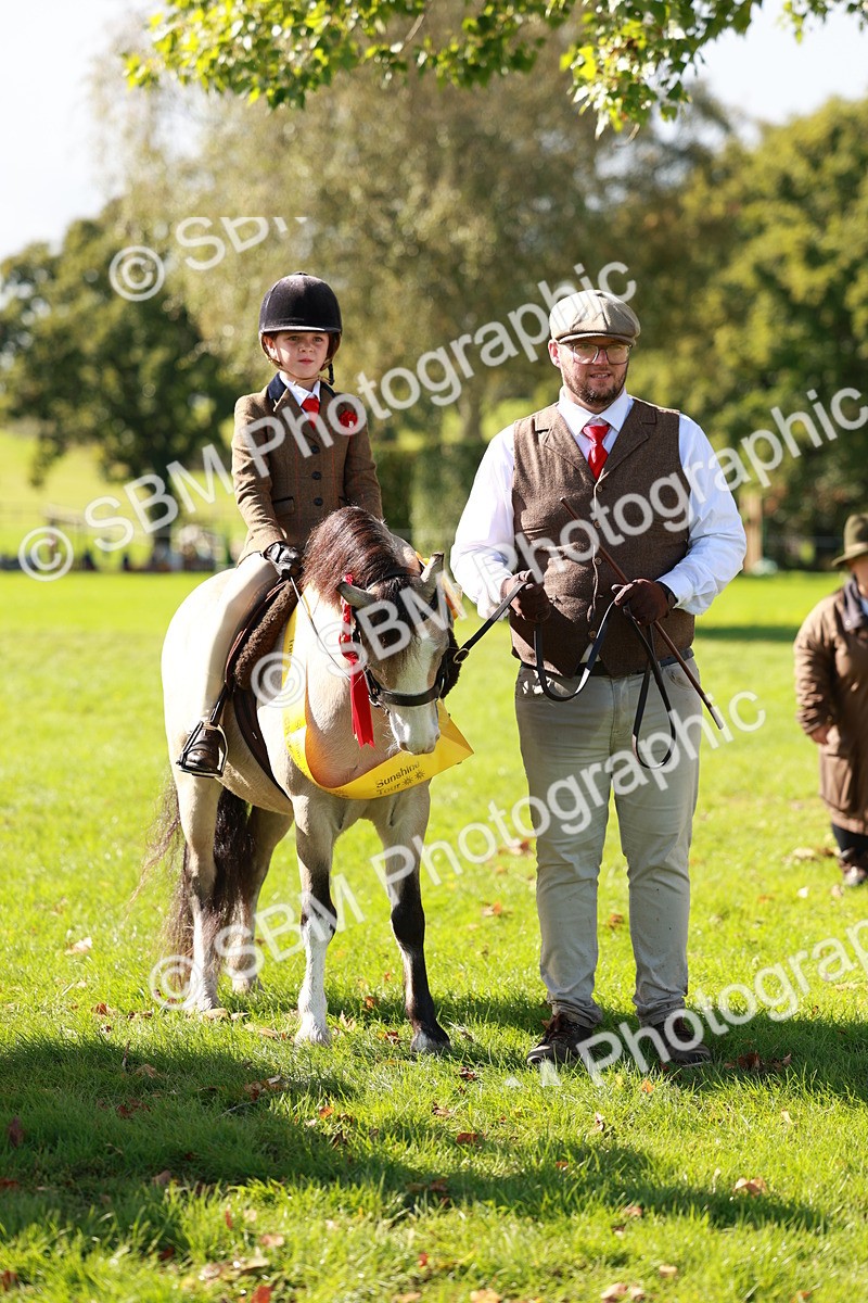 SBM_42195 - S32 - Mountain & Moorland Working Hunter Pony