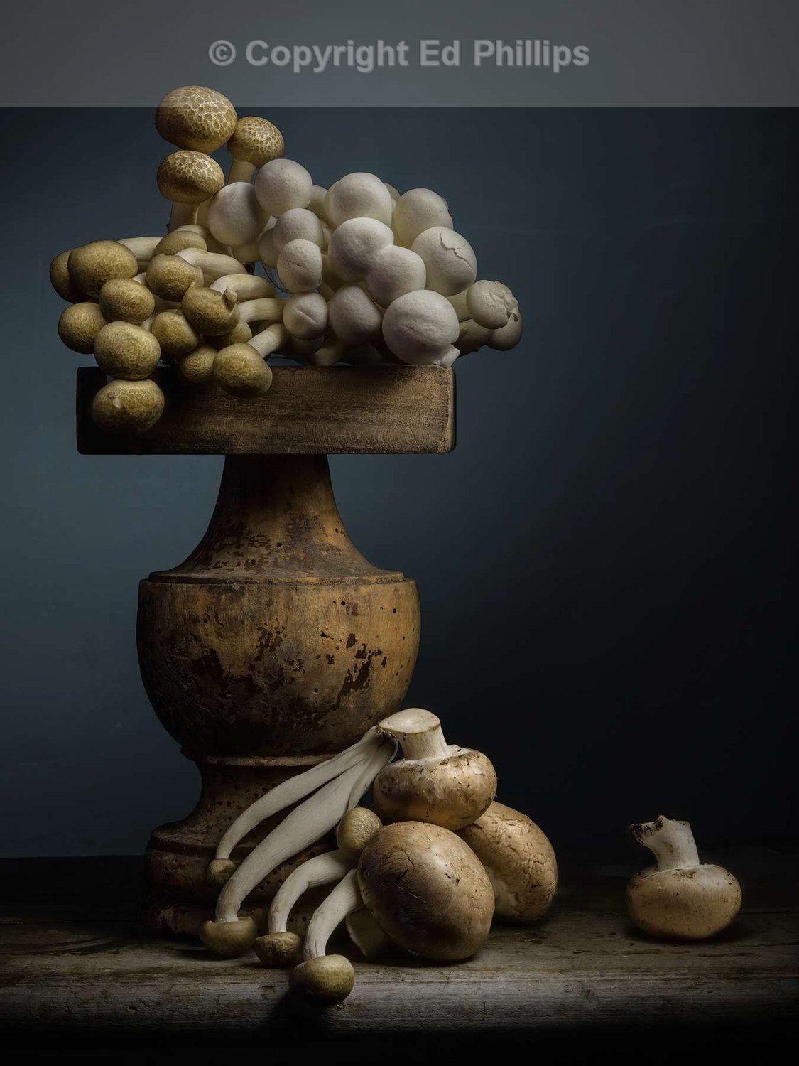 Mushroom Medley