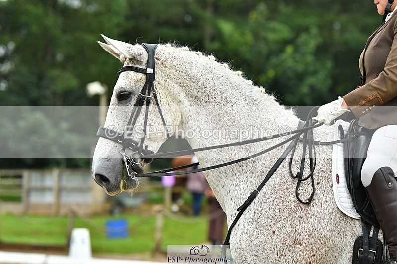 230722-160627-03863 - Cls 5, Elementary Silver 15.10 to End