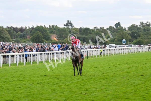 230824-Race 4-Bradsell-9540 - Race 4 3.35pm Coolmore Wootton Bassett Nunthorpe Stakes