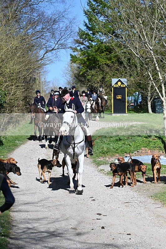 WJ7_9663 - Home for hunt tea !