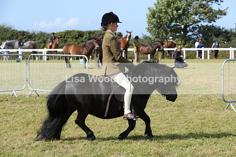 1X9A5646 - Class 39: NPS Dartmoor, Exmoor, Shetland