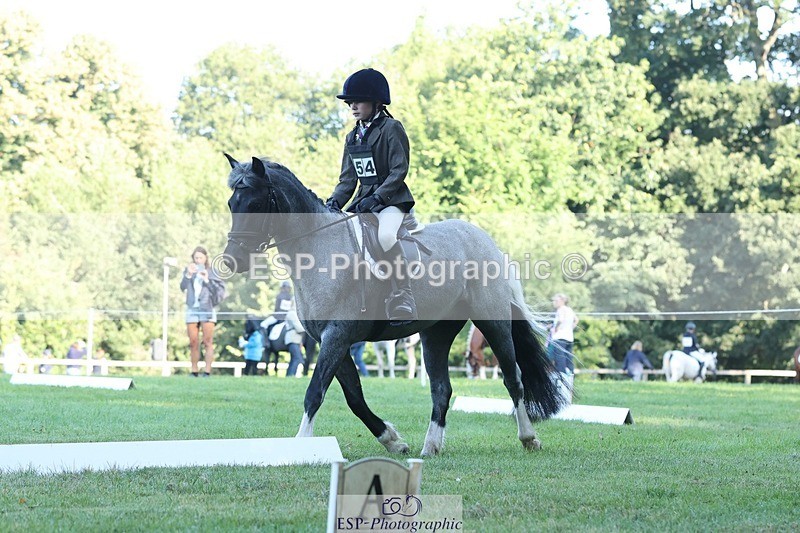 250823A-085101-25789 - Arena D