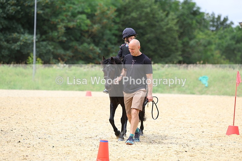 3E7A9375 - Walk trot run