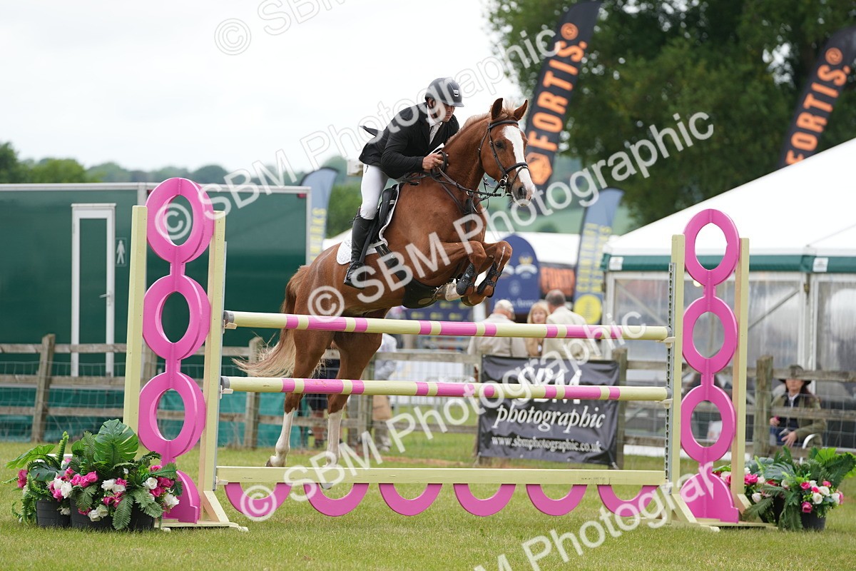 SBM_03221 - Class 201 - British Horse Feeds Speedi Beet Horse of the Year Show Grade  C