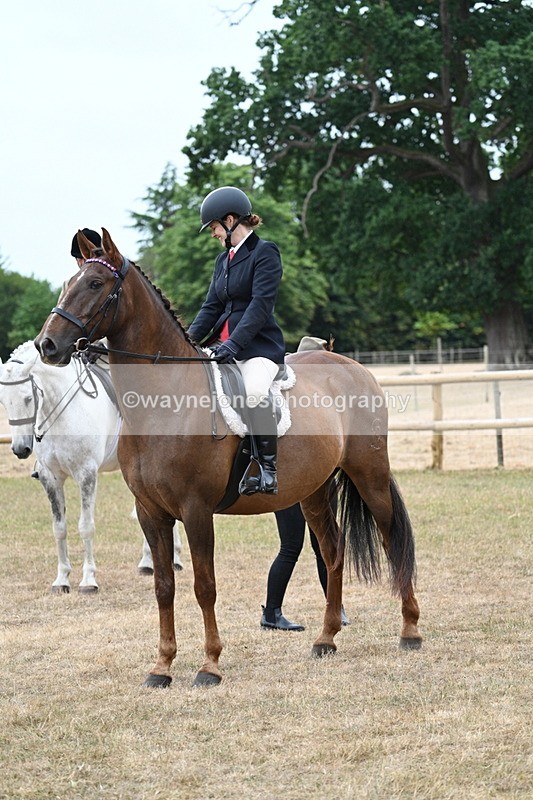 WJ7_0804 - Class 7 Riding Club Show Horse