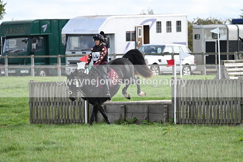 WJ7_8324 - 60cm Pairs