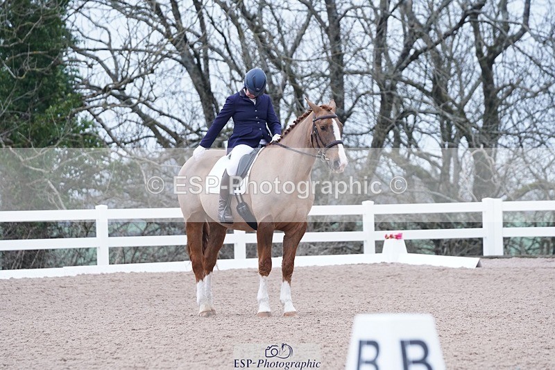 250214-102048-00112 - 224-Jill.McFarland-Adoon.Punchbowl