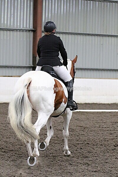 SIAL4525 - CAbin Dressage 5th july 2025