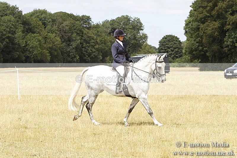 _BS_0996 - Working Hunter Championship BVRC Show 2018