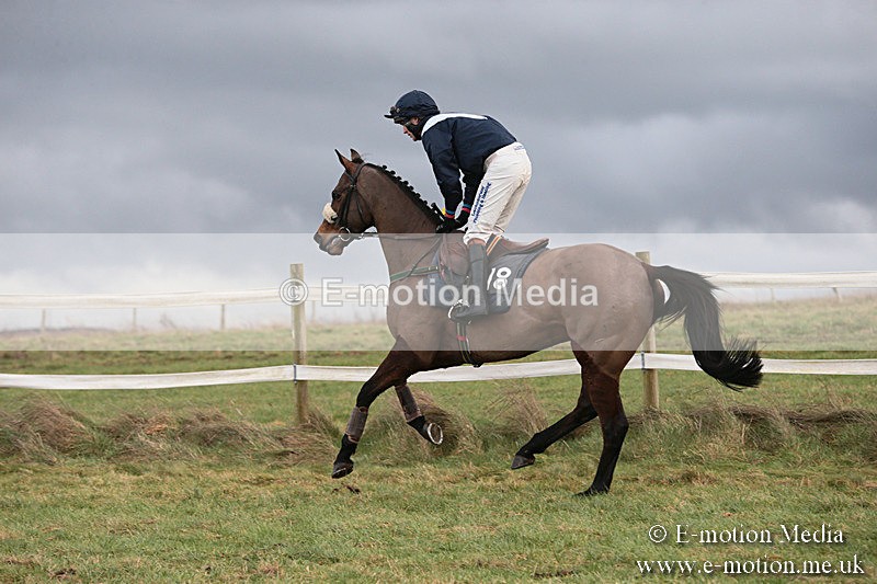 PtP 230119 137 - Royal Artillery Point-to-Point  - Larkhill  - 26/01/19