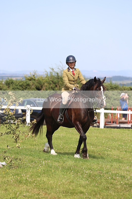 JPP_3543 - Class 23: Working Hunter 80cm