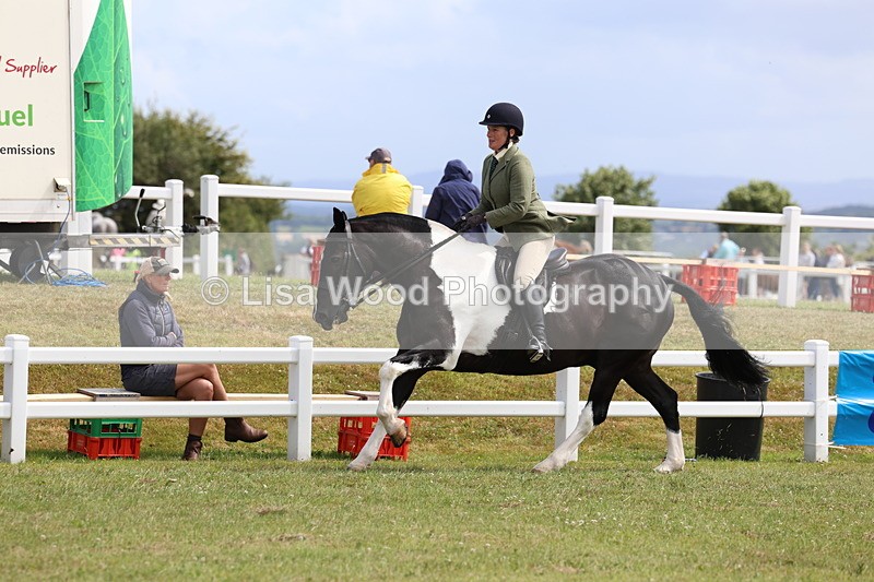 3E7A0224 - Class 6: Rising Star Maxi Cobs