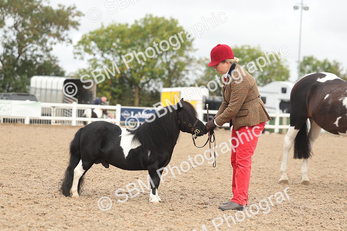 SBM_02121 - Class 15 - IH Coloured