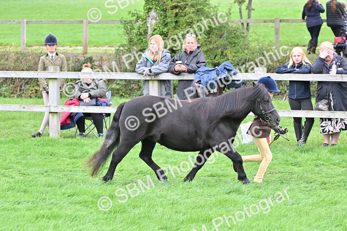 SBM_60939 - S48 - Mountain & Moorland In Hand Small Breeds