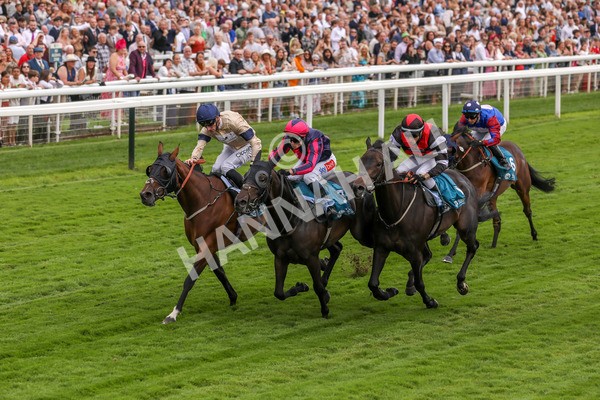 260724-Race 2-Churchella-3996 - Race 2 6.05pm Pearly Cow Handicap