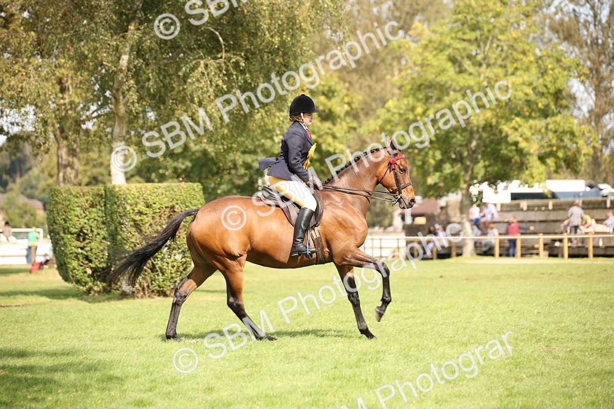 SBM_66005 - S64 - Riding Horse & Hack & Thoroughbred Ridden