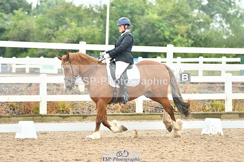 230708A-135428-02877 - Elementary 43