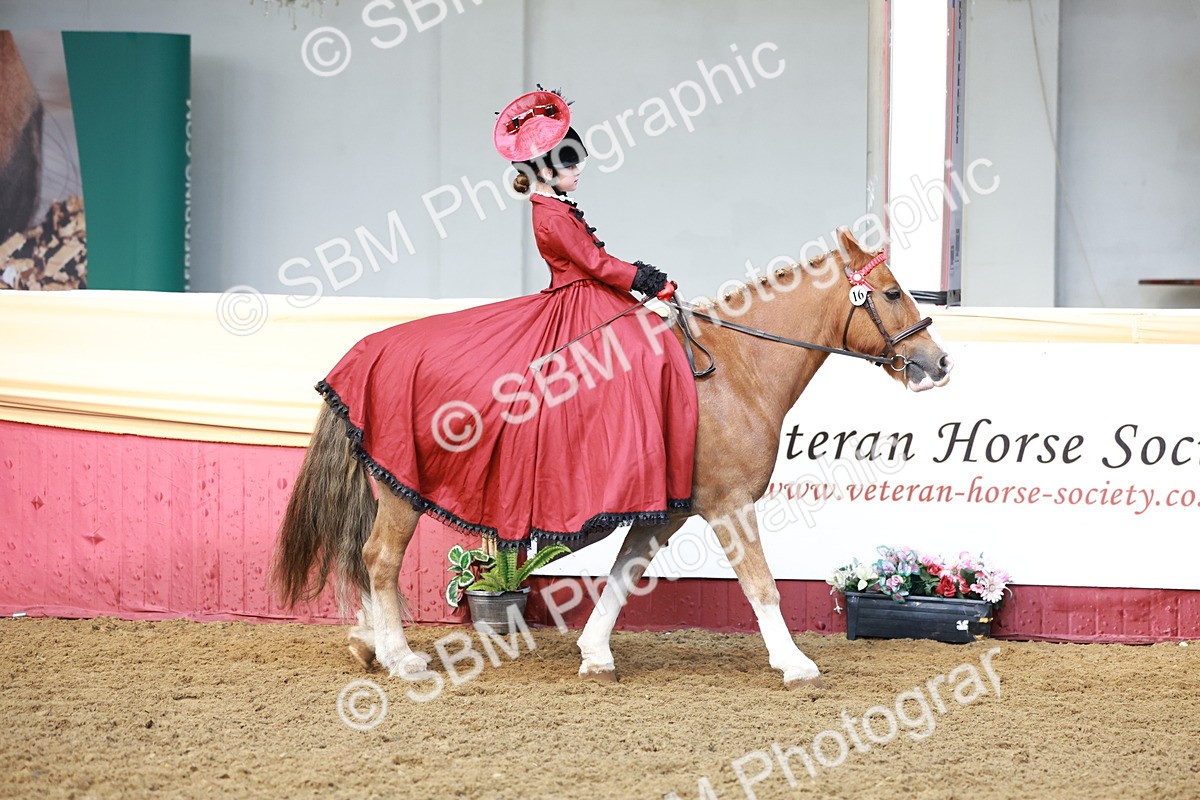 SBM_13401 - Class 104 - Ridden Costume - Astride Junior