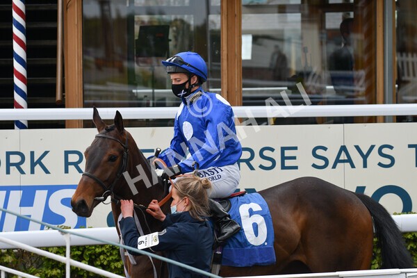 yr14052021r7-10 - Race 7 4.50pm Irish Thoroughbred Marketing Stakes