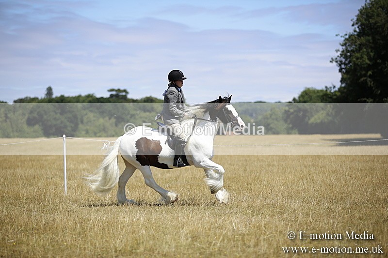 _C7A9877 - BVRC Show 2018 Ring 1