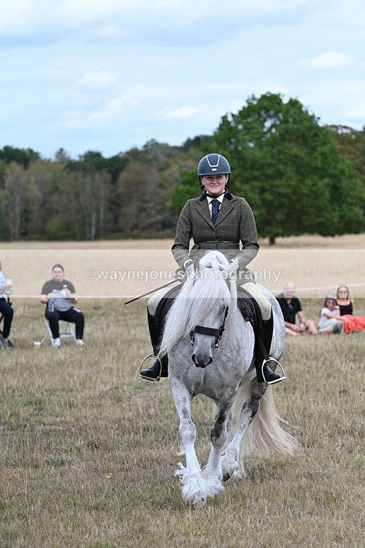 WJ7_5152 - Class 12 Ridden Cob